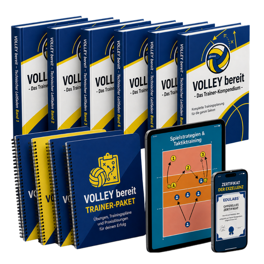 PALLAVOLO PRONTA